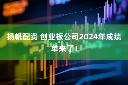 扬帆配资 创业板公司2024年成绩单来了！