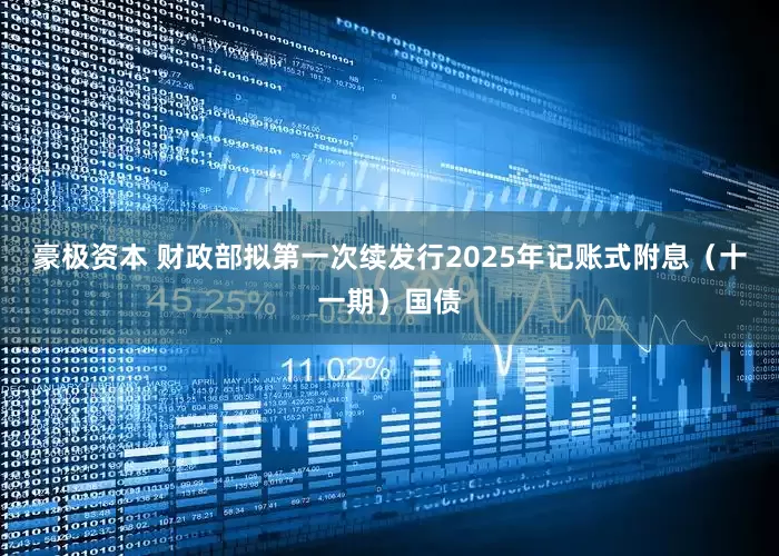 豪极资本 财政部拟第一次续发行2025年记账式附息（十一期）国债