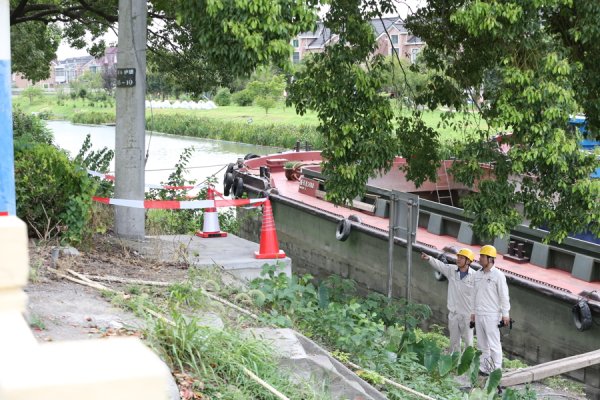 华盈策略 筑牢台风“竹节草”防御屏障，国网上海金山供电公司织密四重防线