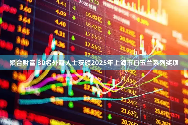 聚合财富 30名外籍人士获颁2025年上海市白玉兰系列奖项
