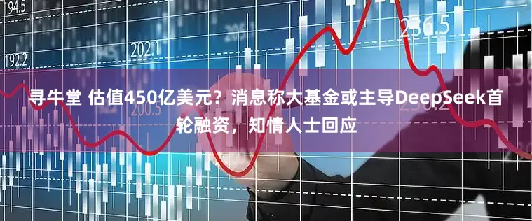 寻牛堂 估值450亿美元？消息称大基金或主导DeepSeek首轮融资，知情人士回应